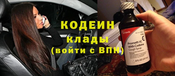 мет Гатчина