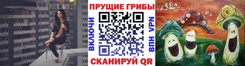 Галлюциногенные грибы Psilocybe  Шахты 