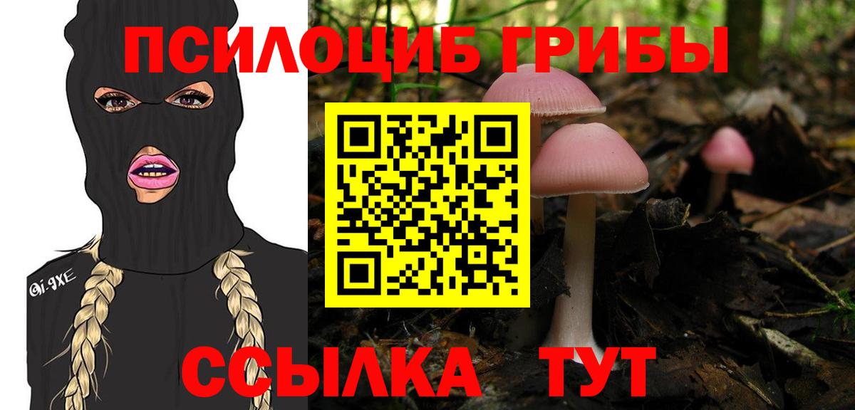 Шахты  Галлюциногенные грибы ЛСД  дарнет шоп  Вход с VPN  Псилоцибиновые грибы Psilocybine cubensis 