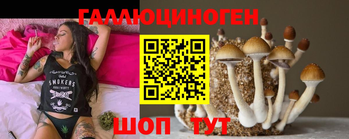 Галлюциногенные грибы Magic Shrooms Шахты